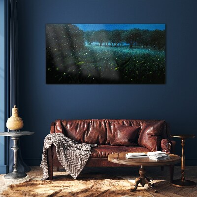 Night lights in the forest Glass Print