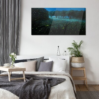 Night lights in the forest Glass Print