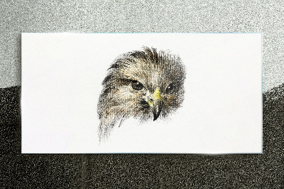 Portrait of a bird of prey Glass Print