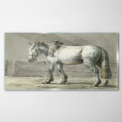 Walking horse in shades of gray Glass Print