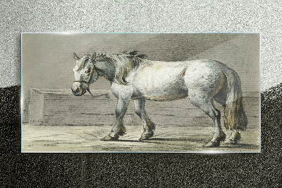 Walking horse in shades of gray Glass Print