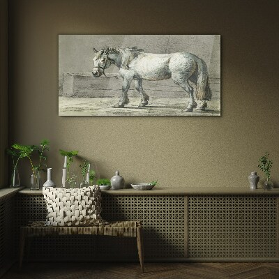 Walking horse in shades of gray Glass Print