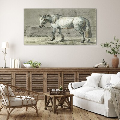 Walking horse in shades of gray Glass Print