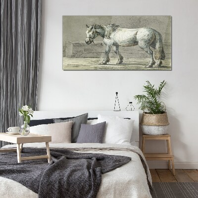 Walking horse in shades of gray Glass Print