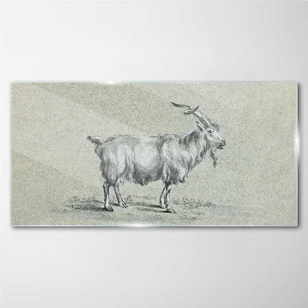 Goat on a gray paper background Glass Print