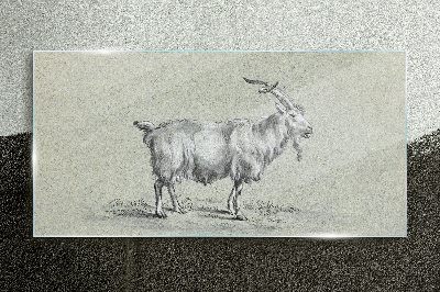 Goat on a gray paper background Glass Print