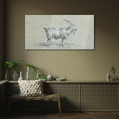 Goat on a gray paper background Glass Print