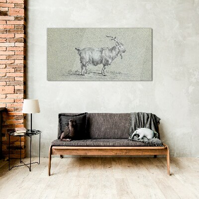 Goat on a gray paper background Glass Print