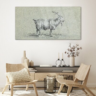Goat on a gray paper background Glass Print