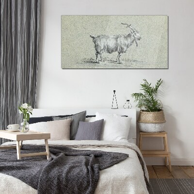 Goat on a gray paper background Glass Print