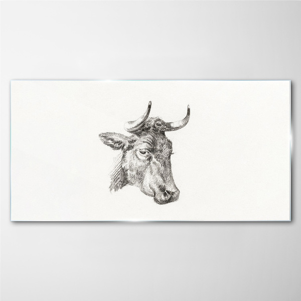 Portrait of a cow on a white background Glass Print