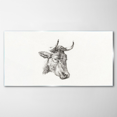 Portrait of a cow on a white background Glass Print