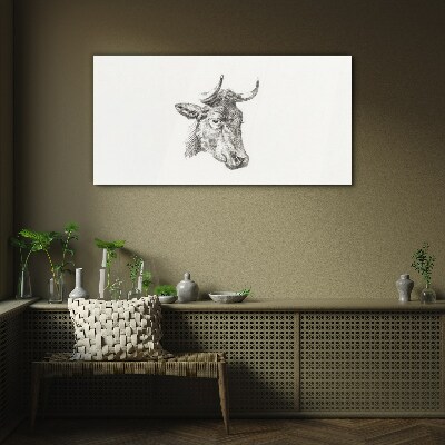 Portrait of a cow on a white background Glass Print