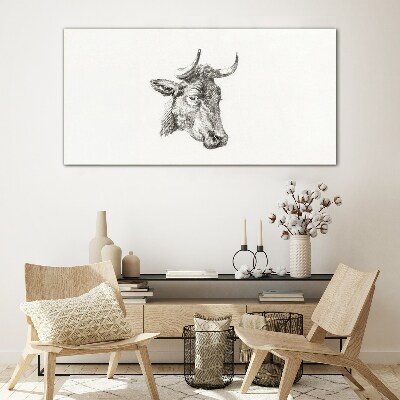 Portrait of a cow on a white background Glass Print