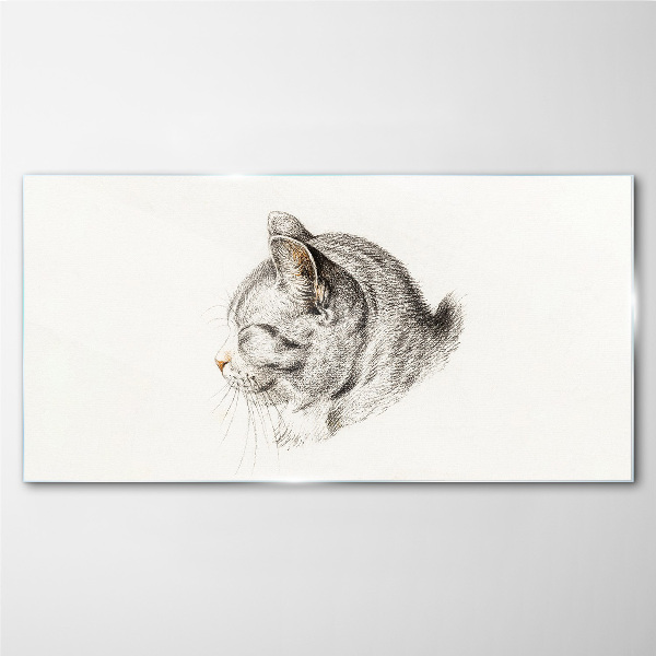 Portrait of a gray cat on a white background Glass Print