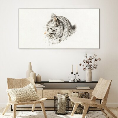 Portrait of a gray cat on a white background Glass Print