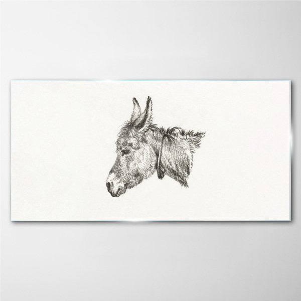 Portrait of a donkey in a monochrome style Glass Print