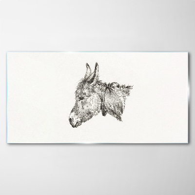 Portrait of a donkey in a monochrome style Glass Print