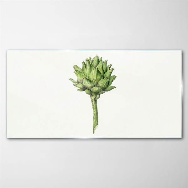 Green artichoke on white background Glass Print