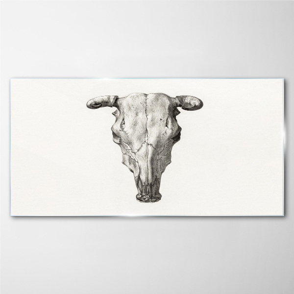 Skull on a white background Glass Print