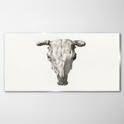 Skull on a white background Glass Print