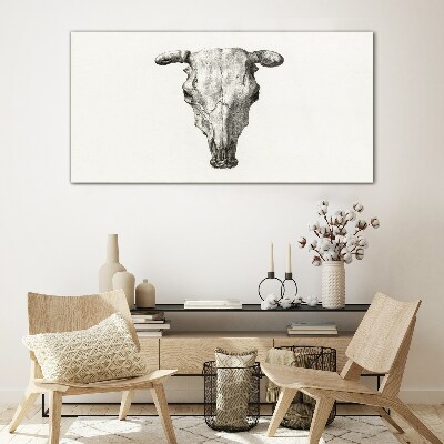 Skull on a white background Glass Print