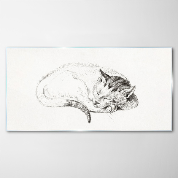 Sleeping cat Glass Print