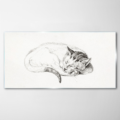 Sleeping cat Glass Print