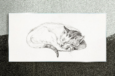 Sleeping cat Glass Print