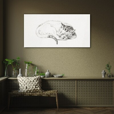 Sleeping cat Glass Print