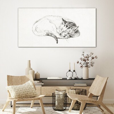 Sleeping cat Glass Print