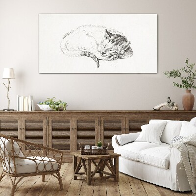 Sleeping cat Glass Print