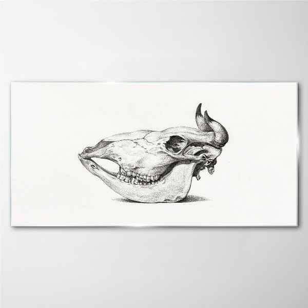 Animal skull Glass Print