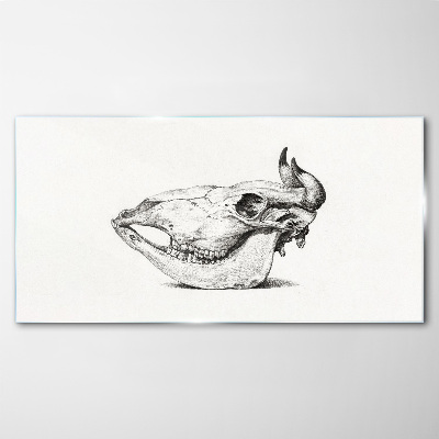 Animal skull Glass Print