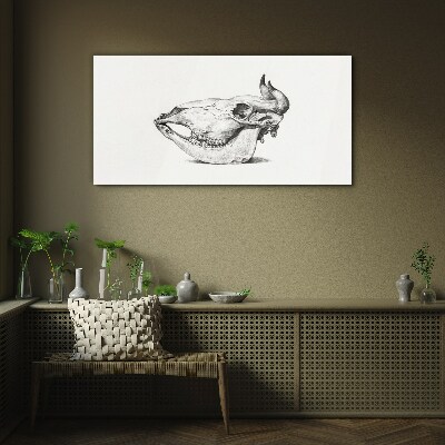 Animal skull Glass Print