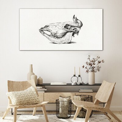 Animal skull Glass Print