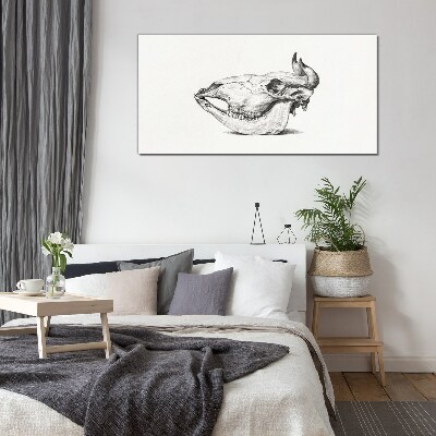 Animal skull Glass Print