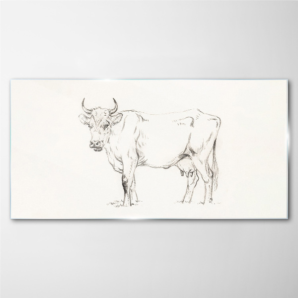 Cow on a white background Glass Print
