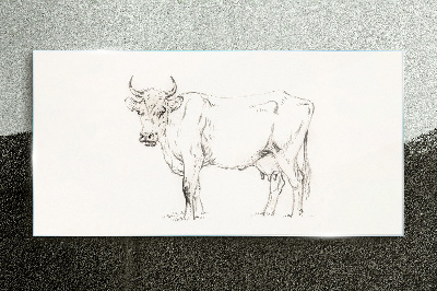 Cow on a white background Glass Print