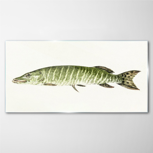 Muskie in its natural habitat Glass Print