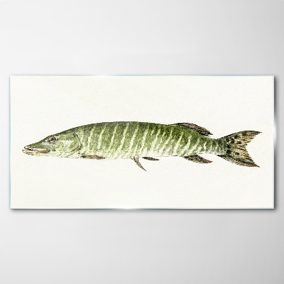 Pet fish Glass Print