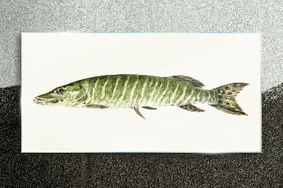 Muskie in its natural habitat Glass Print