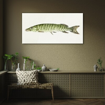Muskie in its natural habitat Glass Print