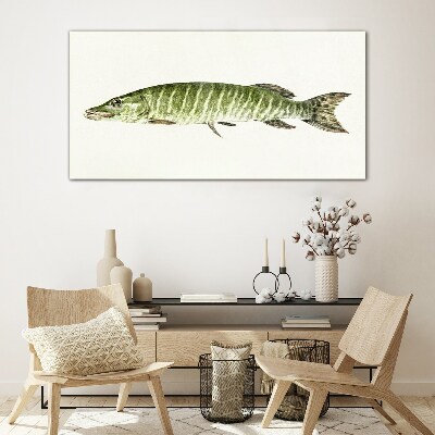 Muskie in its natural habitat Glass Print