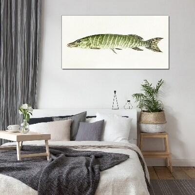 Muskie in its natural habitat Glass Print