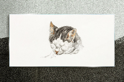Cat's dream Glass Print