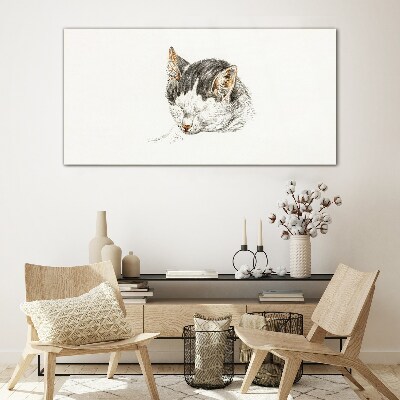 Cat's dream Glass Print