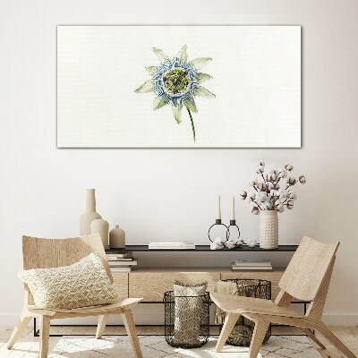 Passion flower on white background Glass Print