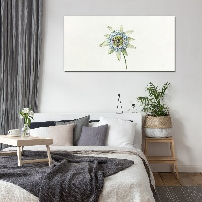 Passion flower on white background Glass Print