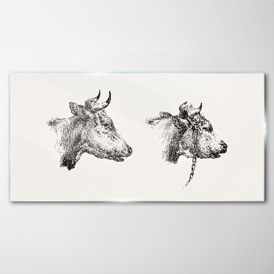 Portrait of two cows Glass Print